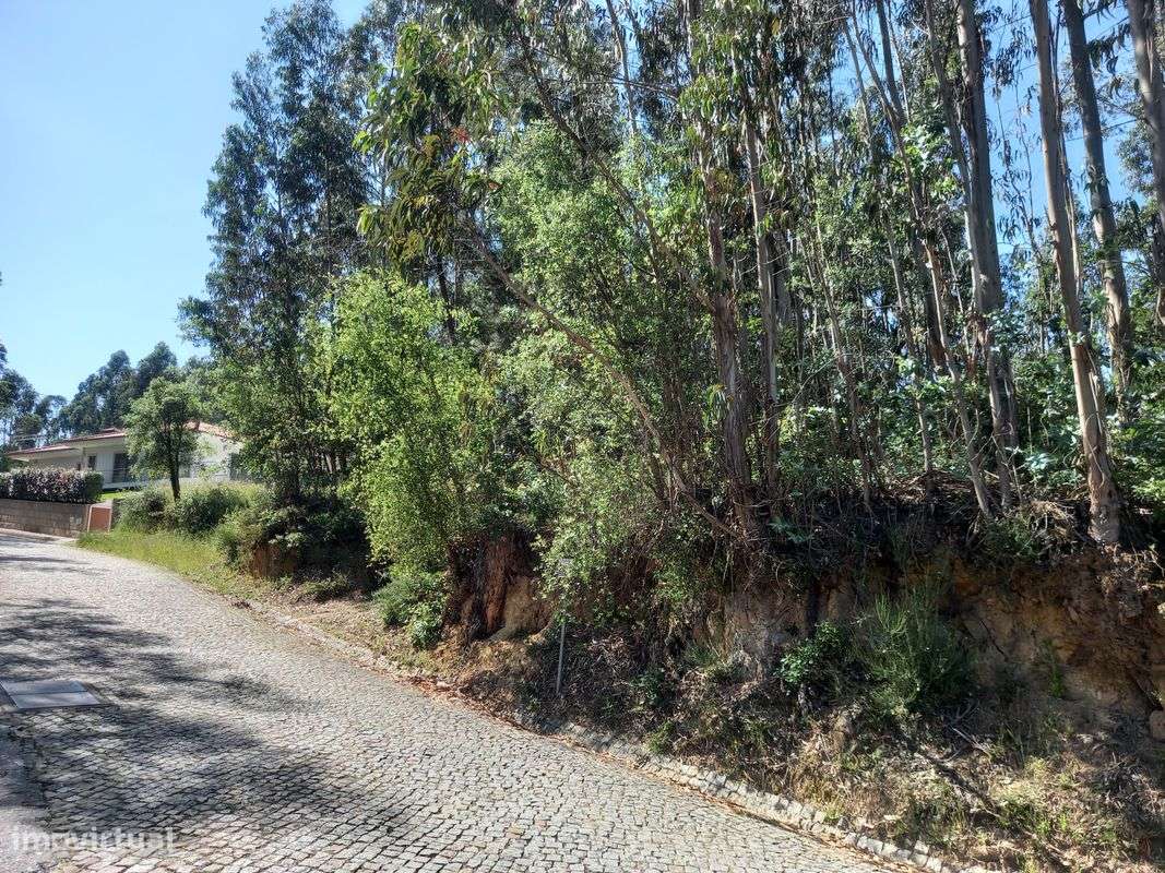 Terreno  para venda - Grande imagem: 4/15