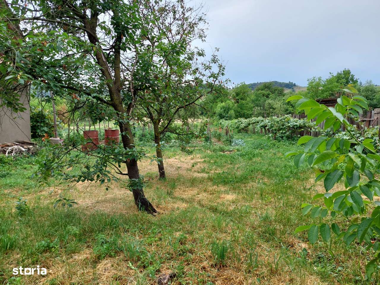 Vând Grădină de 2000 mp în Centrul Satului Cuzăplac la nr 249-8