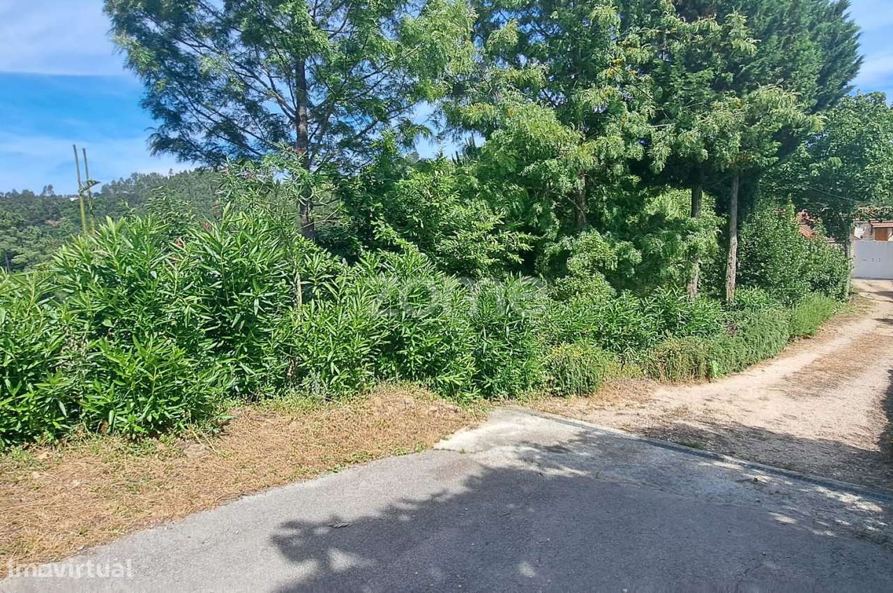 .Terreno Rustico | Bera |Almalaguês - Grande imagem: 3/22