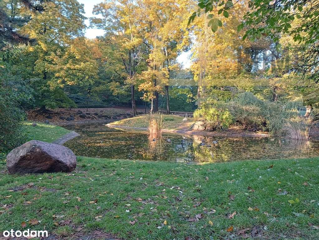 3 pokoje z balkonem 5 min. od parku Wilsona-19
