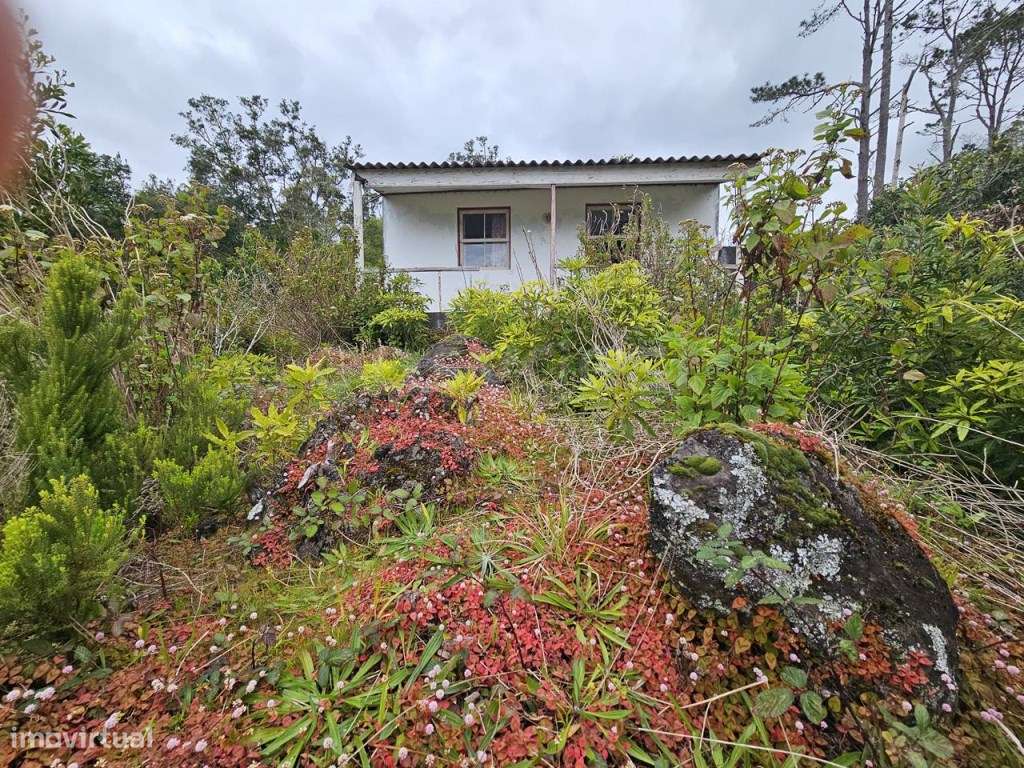Moradia para recuperar no Mistério da Silveira, na ilha do Pico - Grande imagem: 4/16
