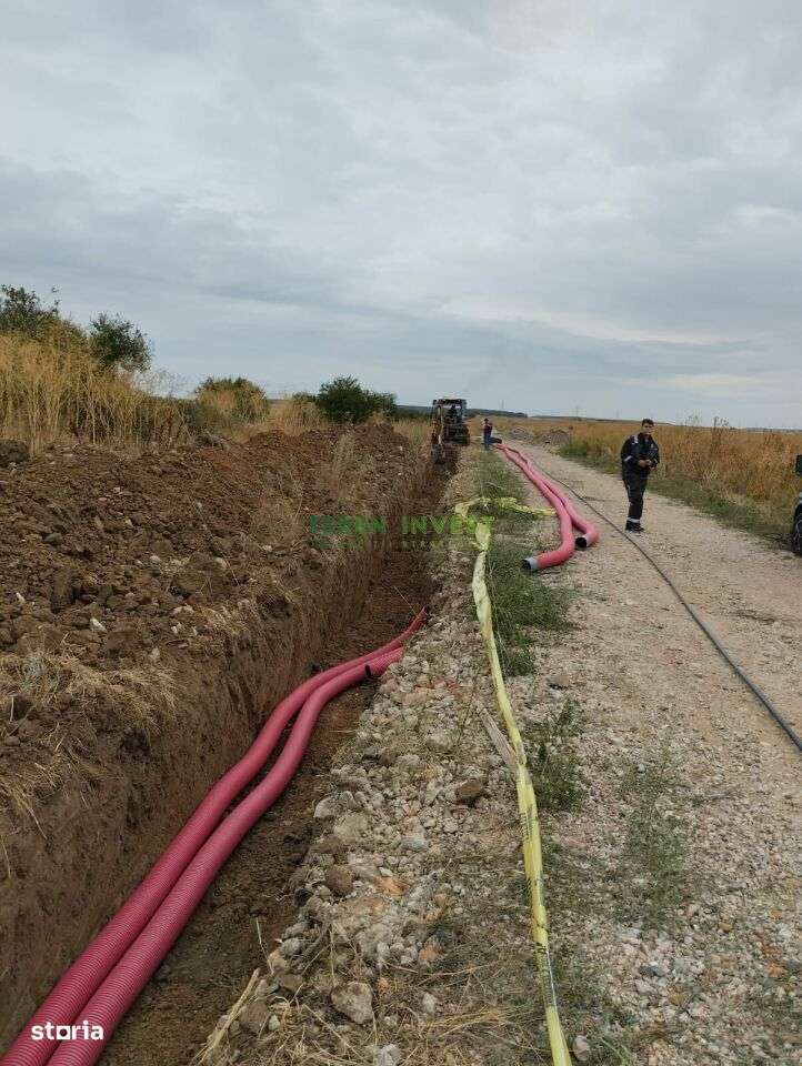 TÂNGANU / CERNICA  - TEREN INDUSTRIAL 5.000 MP - Imagine principală: 5/12