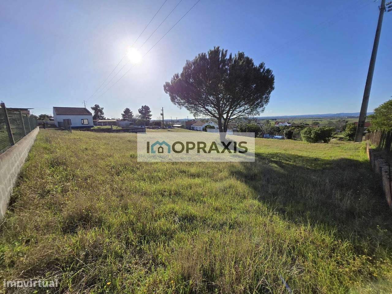 Lote Urbano situado na Carregueira – Chamusca- Santarém - Grande imagem: 4/4