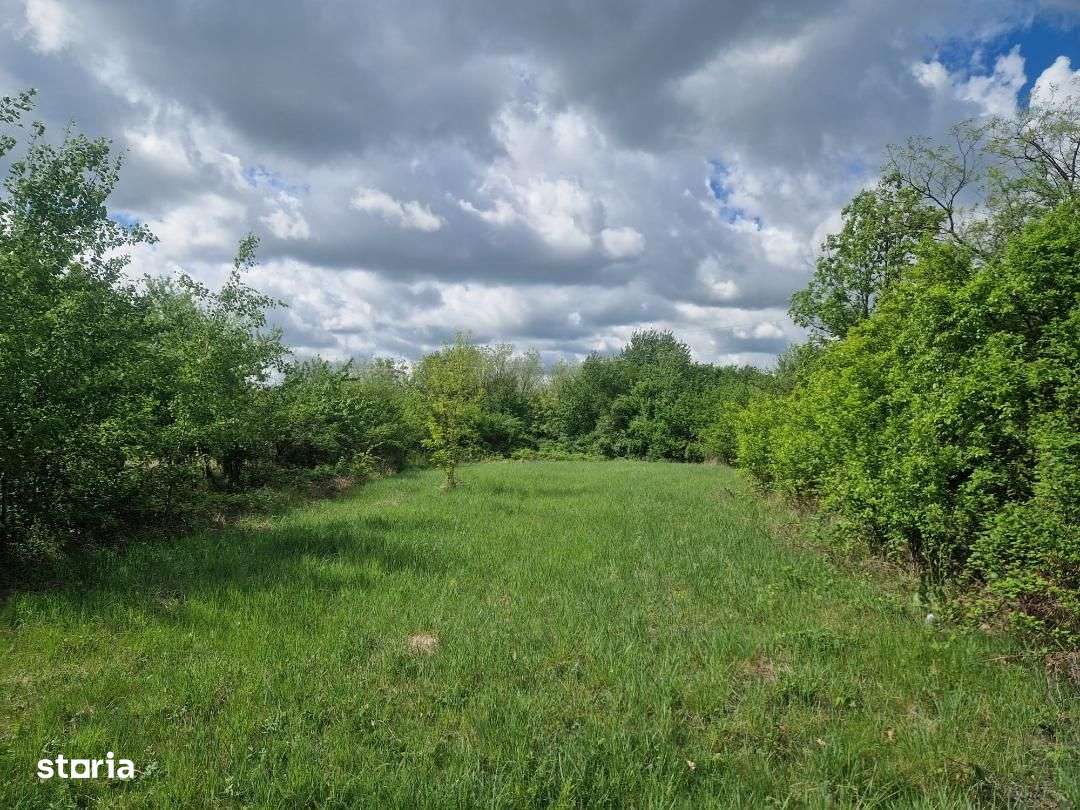 Teren intravilan Cocu Arges-6