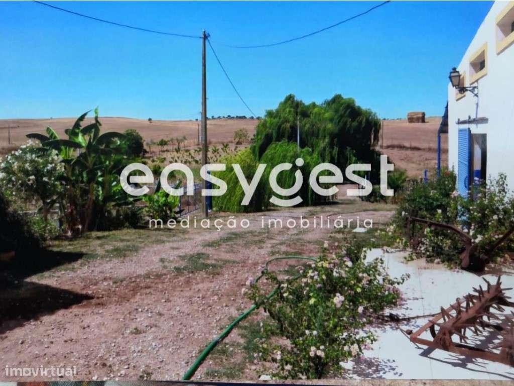 Monte Alentejano em Moura - Alentejo - Grande imagem: 4/43