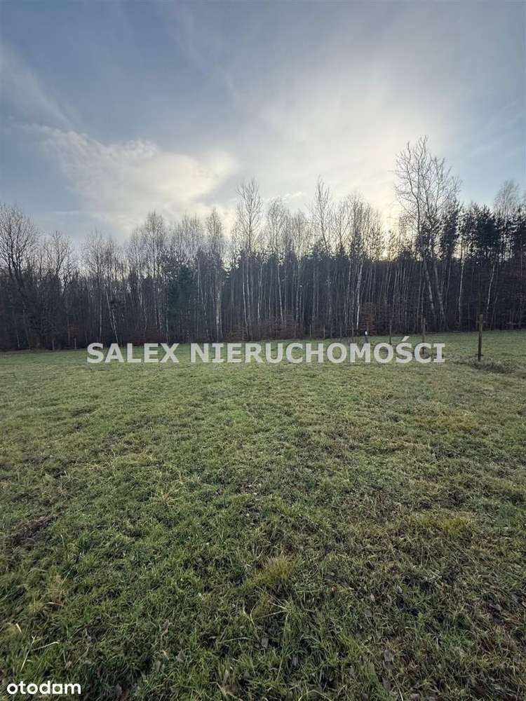 Działki budowlane pod lasem! prąd i woda w działce-5