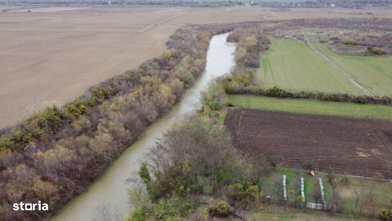 Teren situat langa Padure l Balta Neagra - Imagine principală: 3/8