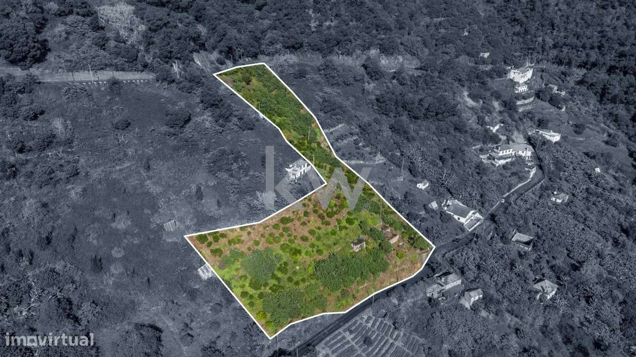 Terreno com 7040 m2, Localizado no Concelho de Santana, Freguesia do F - Grande imagem: 4/24