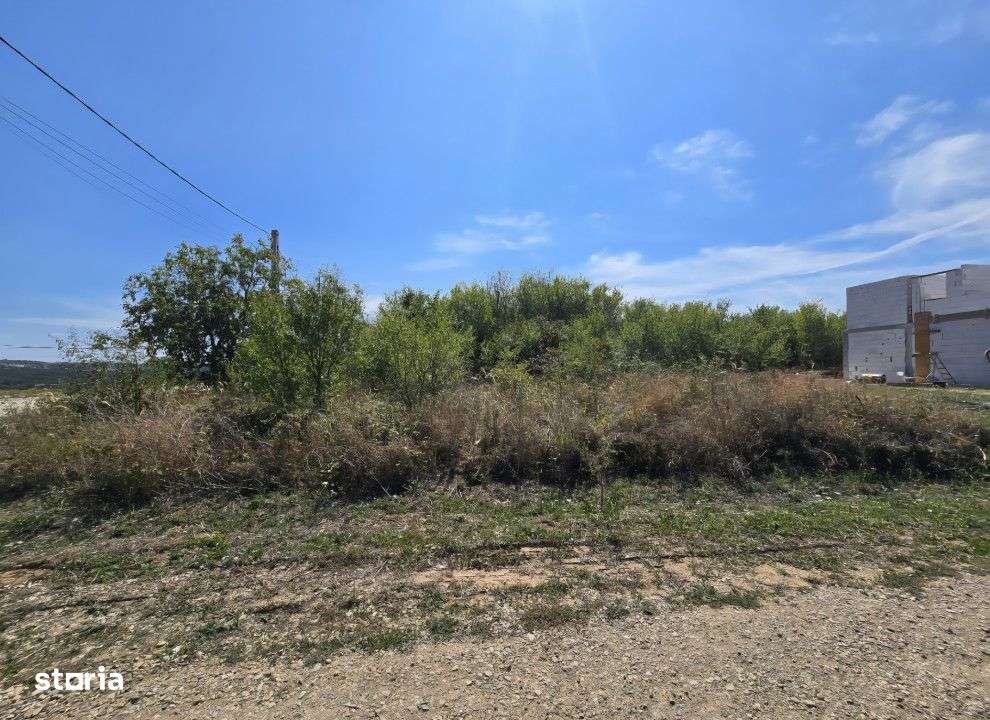 Teren Paleu Intravilan - Imagine principală: 4/6