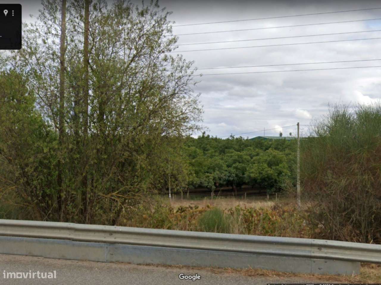 Estremoz Évora herdade 4ha com armazém de 600m2. Bom Investimento-23