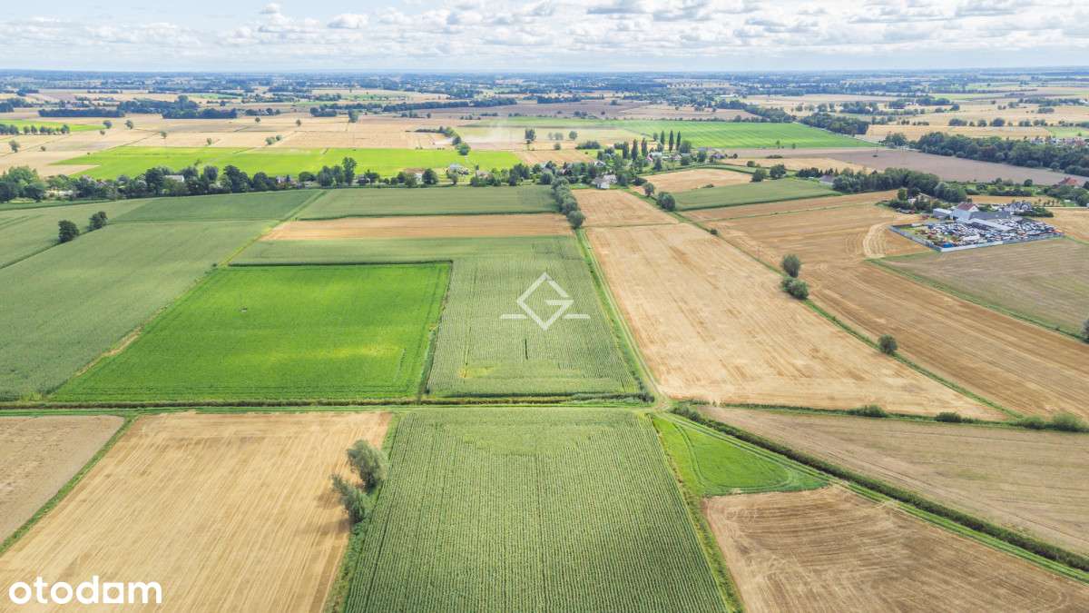 Piękna działka|atrakcyjna cena| objęta Mpzp - Pełny obrazek: 5/6