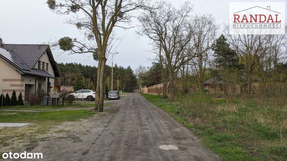 działka w otoczeniu lasów - Pełny obrazek: 4/4