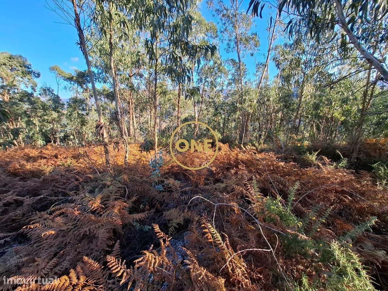 Terreno Rústico em Valbom (São Martinho), Vila Verde - Grande imagem: 3/5