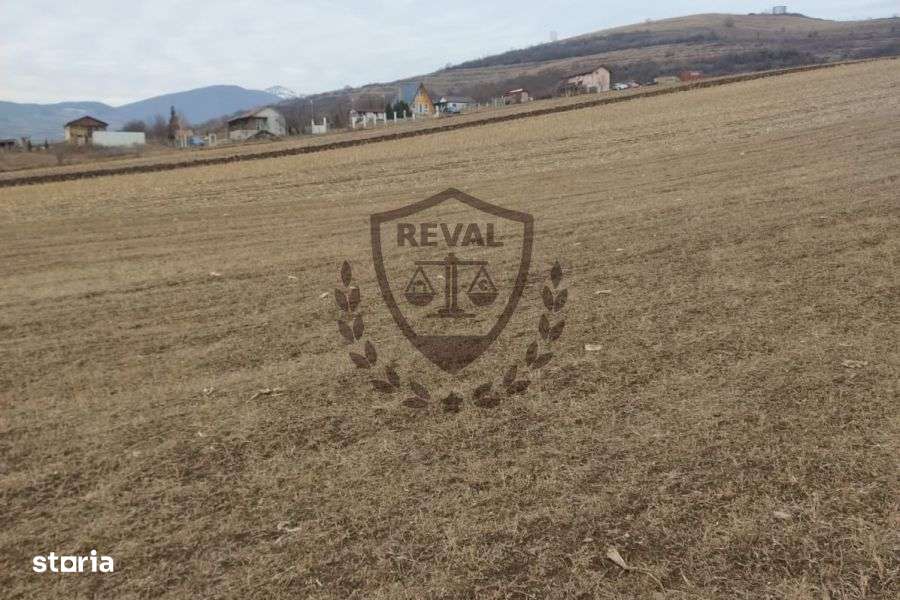 Teren intravilan generos în Ighiu, ideal pentru investiții, 2.900 mp. - Imagine principală: 5/6
