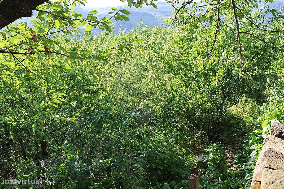 Terreno  para venda - Grande imagem: 4/8