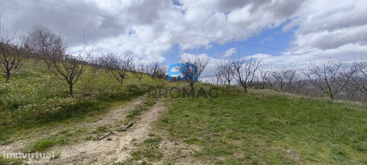 Terreno Urbanizável de 7959 m² com Armazém-6