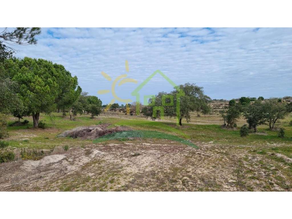 Terreno na Herdade Zambujeiro em Santo Estevão - Grande imagem: 4/12