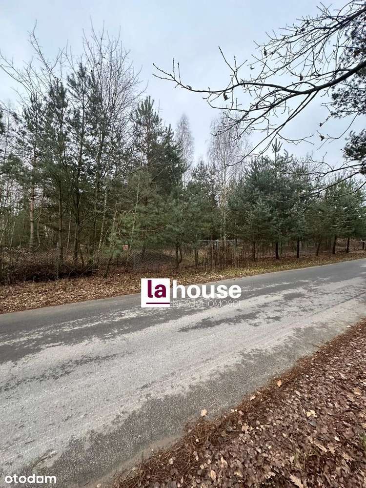 Zaręby, gm. Żabia Wola, działki budowlane, prąd - Pełny obrazek: 4/6