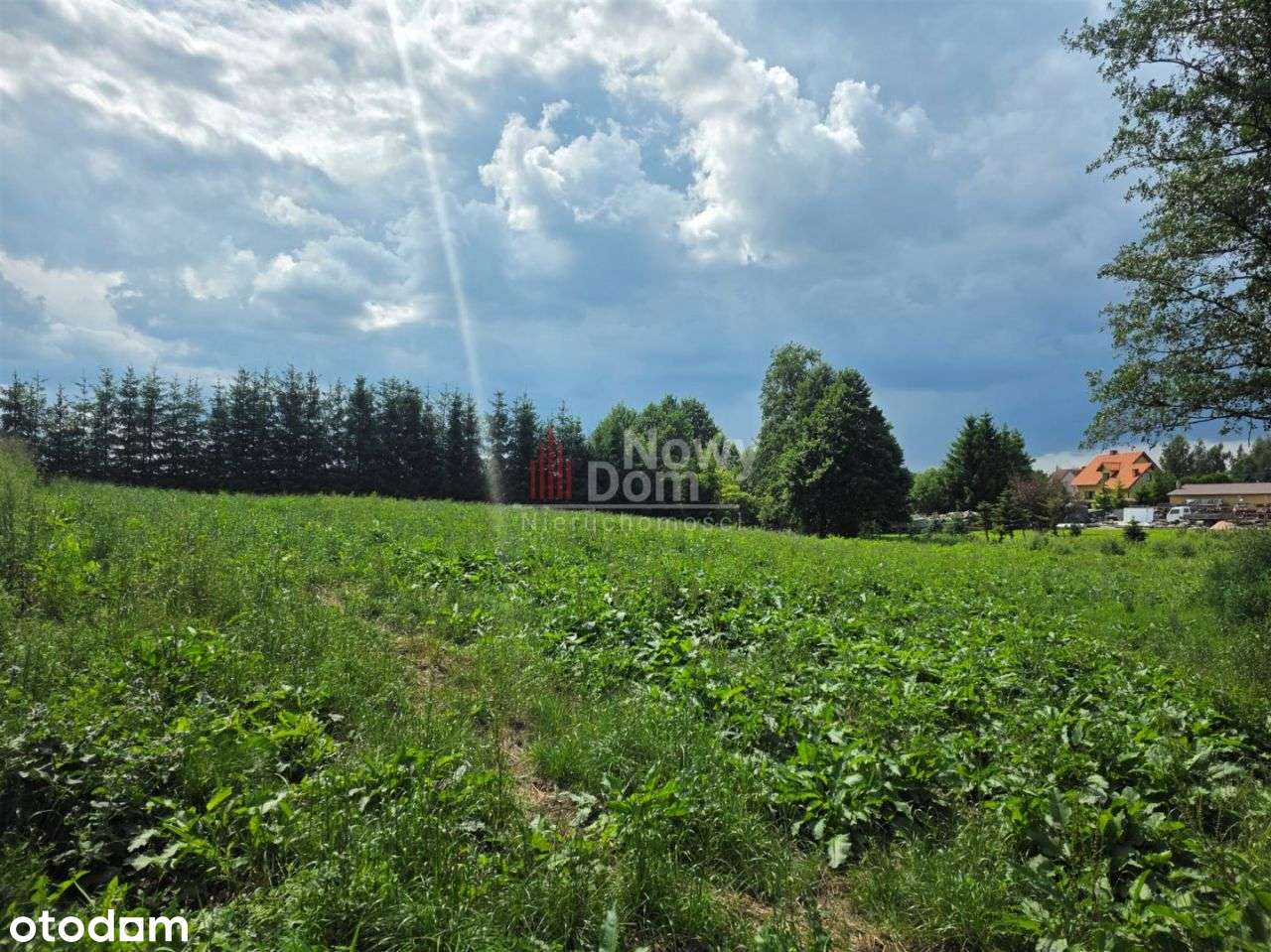 Działki Kożuchy Wielkie Z Lasem!-10