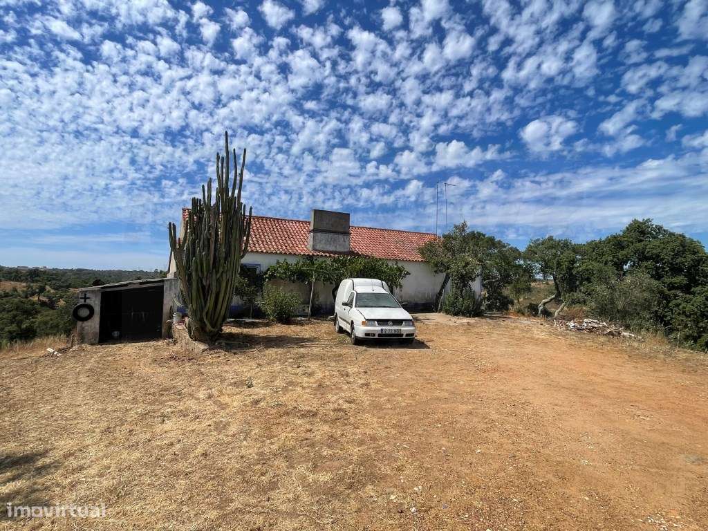 HERDADE COM 100 HECTARES E BASTANTE ARBORIZAÇÃO-25