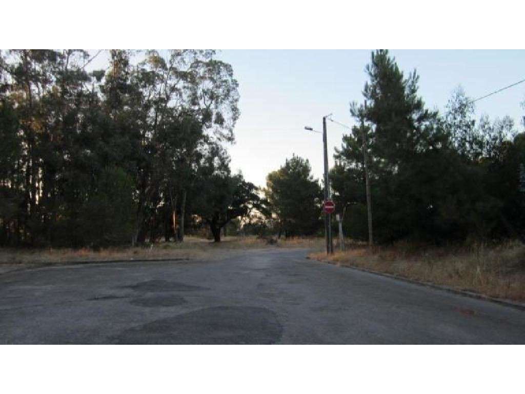 Terreno Urbano com 230,11 m2 para construção em Pinhal de Negreiros - Grande imagem: 4/4