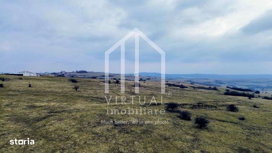 Teren de vanzare in Sibiu 67.500 mp, extravilan, Dealul Daii - Imagine principală: 5/8