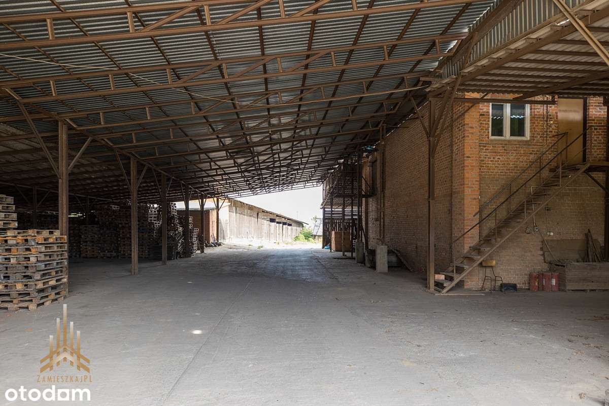 Teren inwestycyjny uzbrojony+budynki - pow. płocki-18