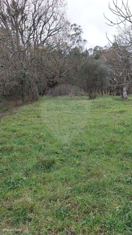 Terreno  para venda - Grande imagem: 3/7