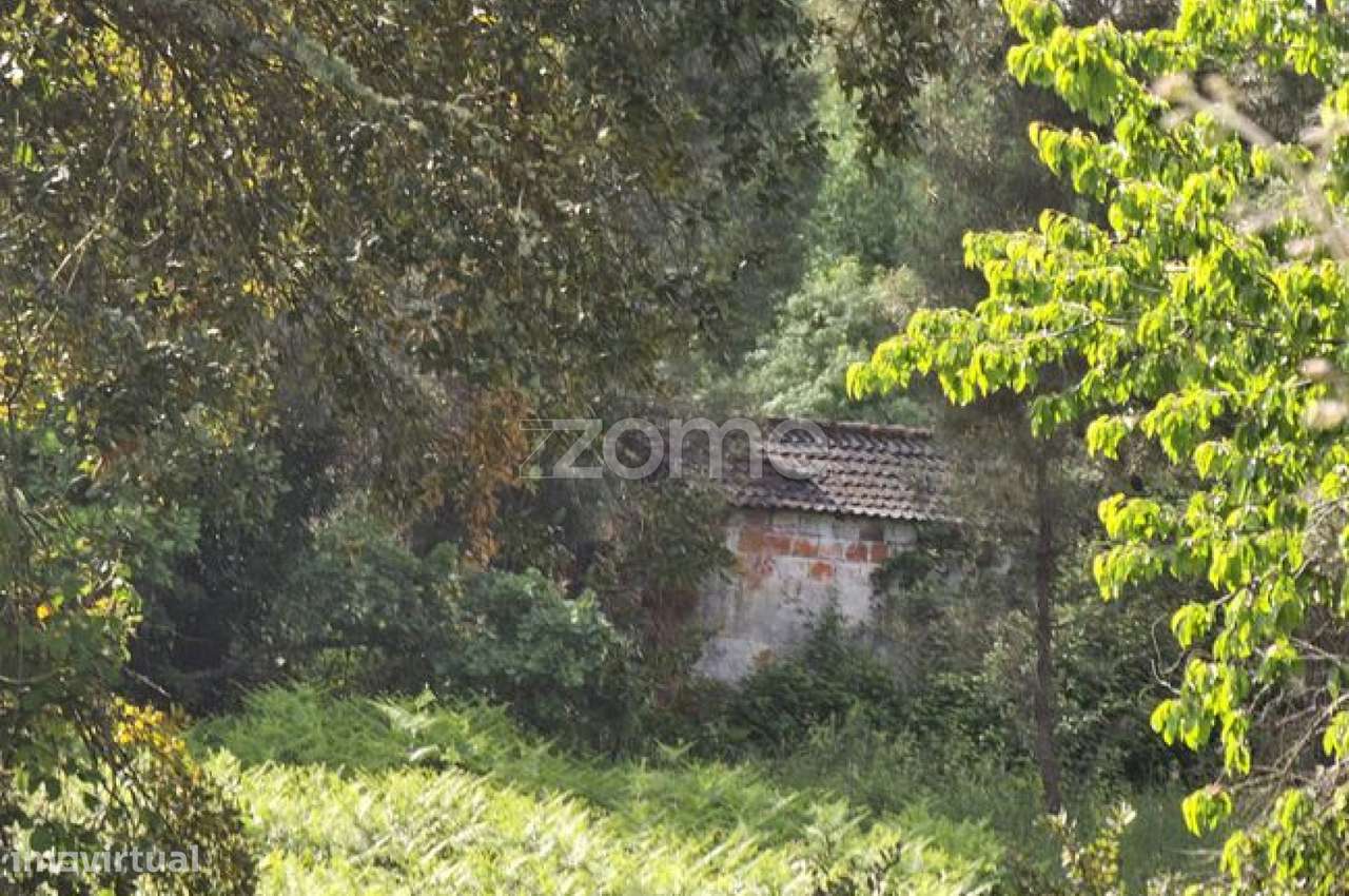 Terreno, 39 100 m², Favaios-15