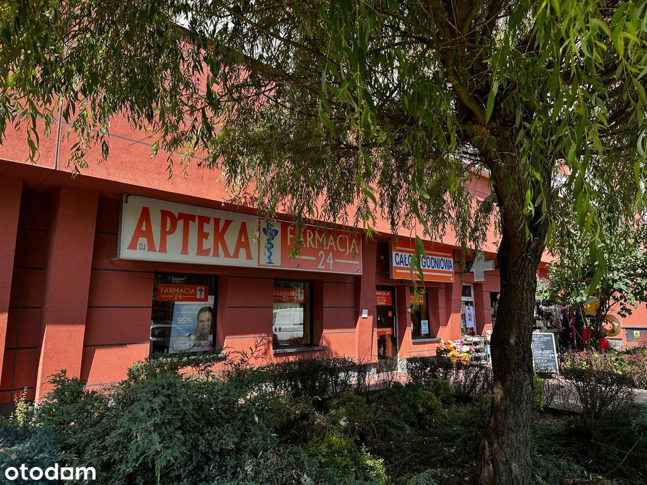 Lokal Usługowy Z Witryną na Osiedlu Kopernik - Pełny obrazek: 4/4