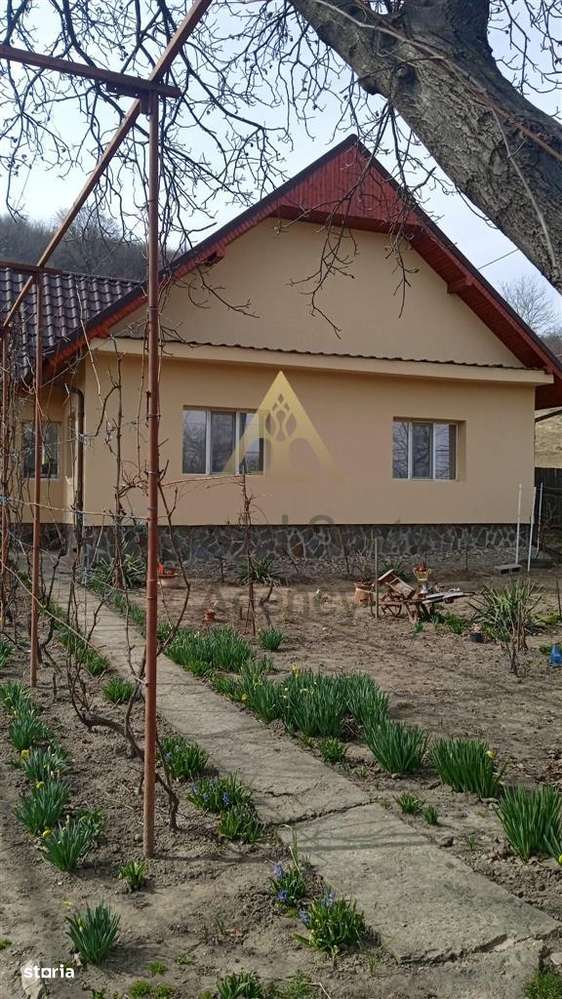 Casa cu teren in suprafata de 1800 mp  de vanzare  NEGOESTI ONESTI - Imagine principală: 3/18