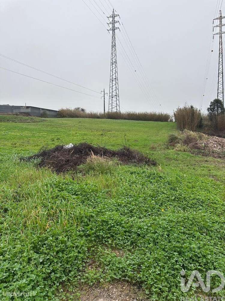 Terreno em Atouguia da Baleia - Grande imagem: 5/16