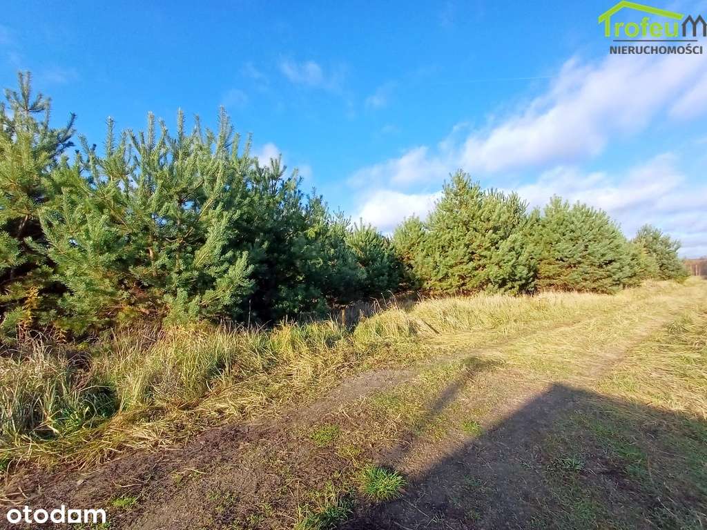 Działka o pow. 952m2, Parski - Pełny obrazek: 5/6