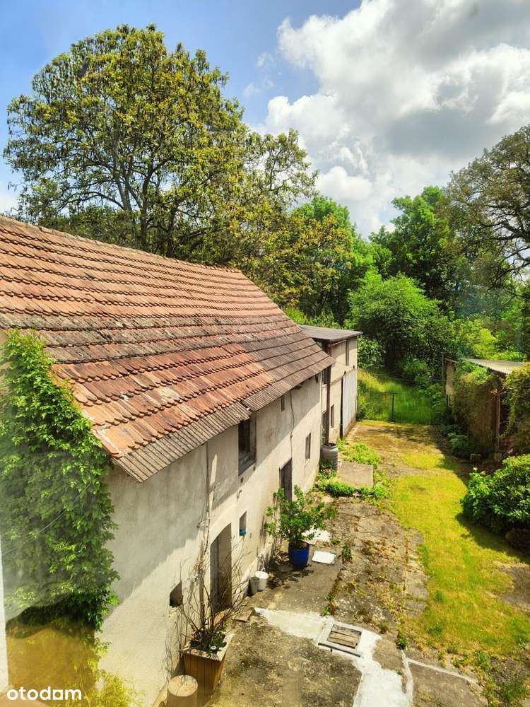 Dom jednorodzinny 135m2   Cienkowice - Pełny obrazek: 5/13