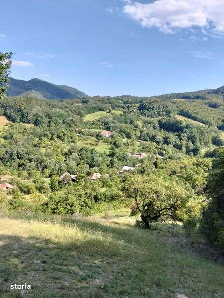 TREN SUPRAFATA 7,8 ha,zona idilica-APUSENI - Imagine principală: 5/8