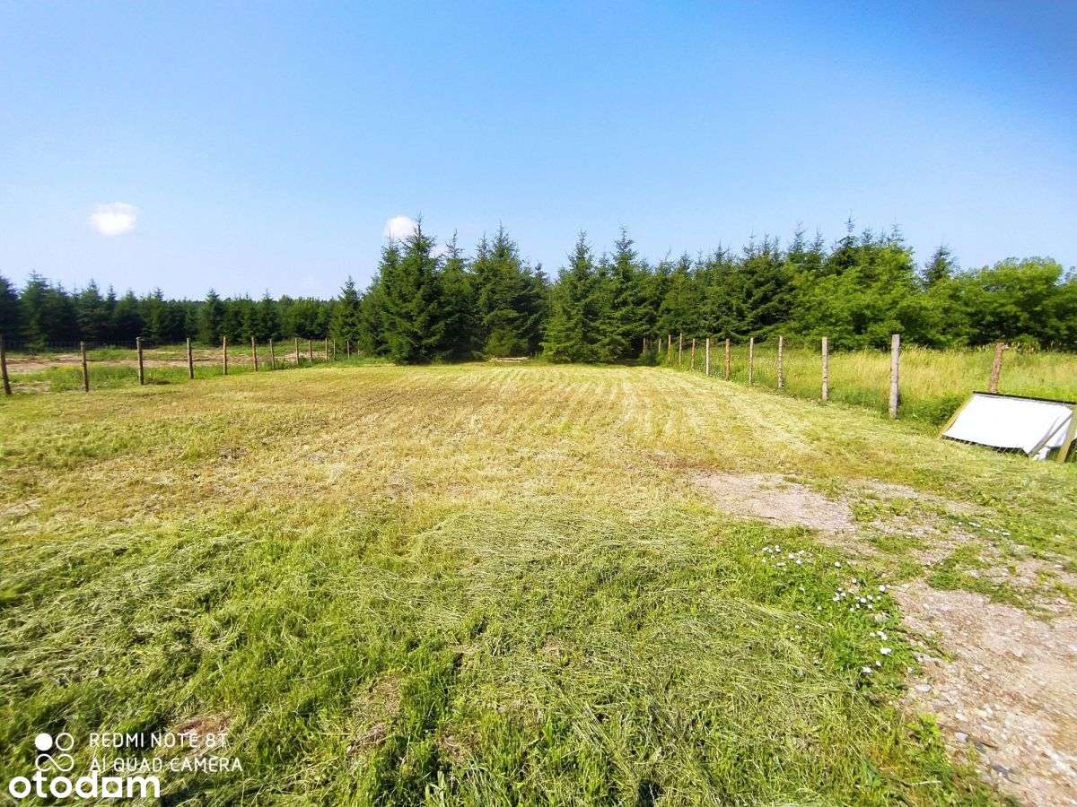 Atrakcyjna działka budowlana - Płociczno - Pełny obrazek: 5/6