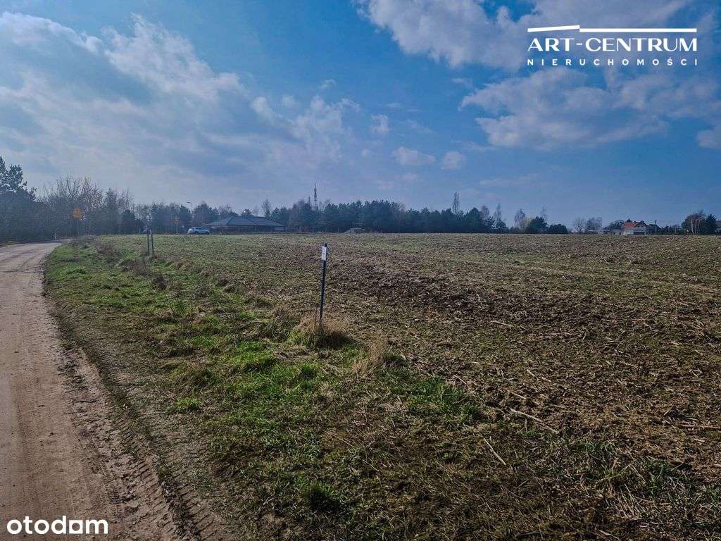 3 działki w Osielsku - Pełny obrazek: 5/6