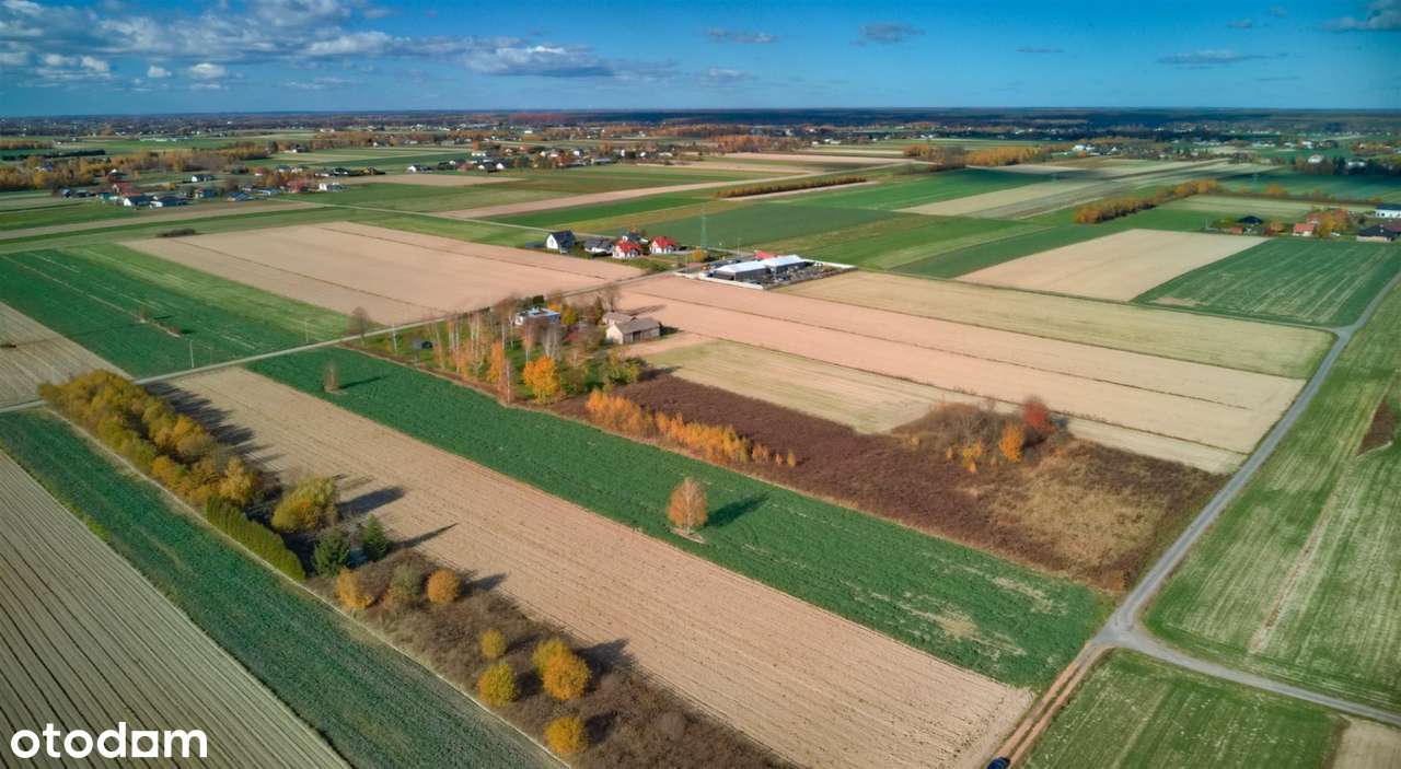 Ciecierzyn - Działki budowlane w spokojnej okolic - Pełny obrazek: 2/6