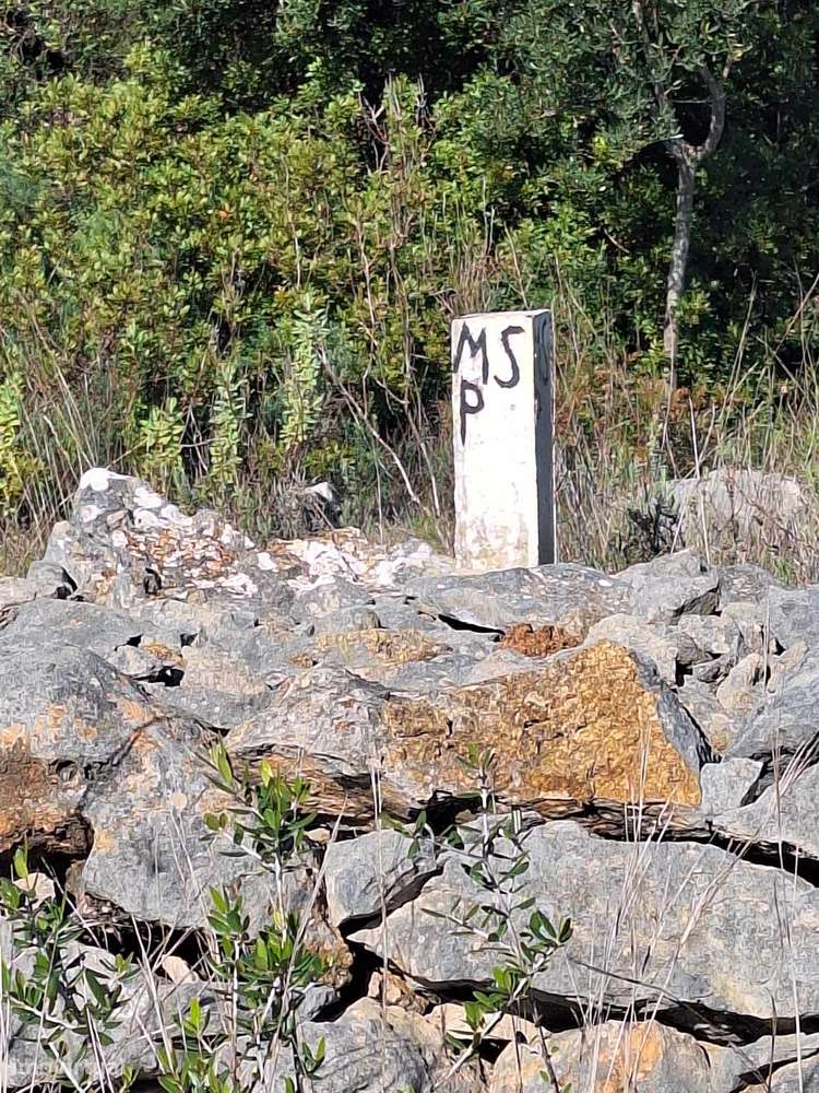 Terreno Rústico no Sítio do Laranjeiro de Santa Catarina da Fonte d...-12