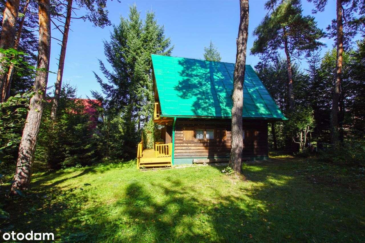 Wiśniowa dom letniskowy w górach, las,strumyk, 53a-9