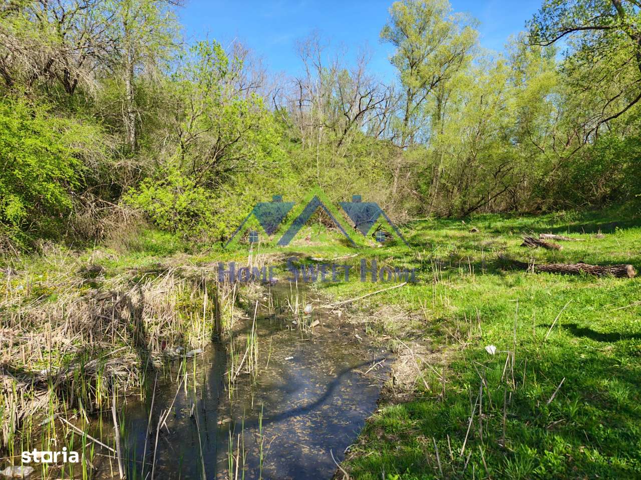 Teren intravilan 900 mp Lacul Cincis Hunedoara - Deschidere 16,3m-3