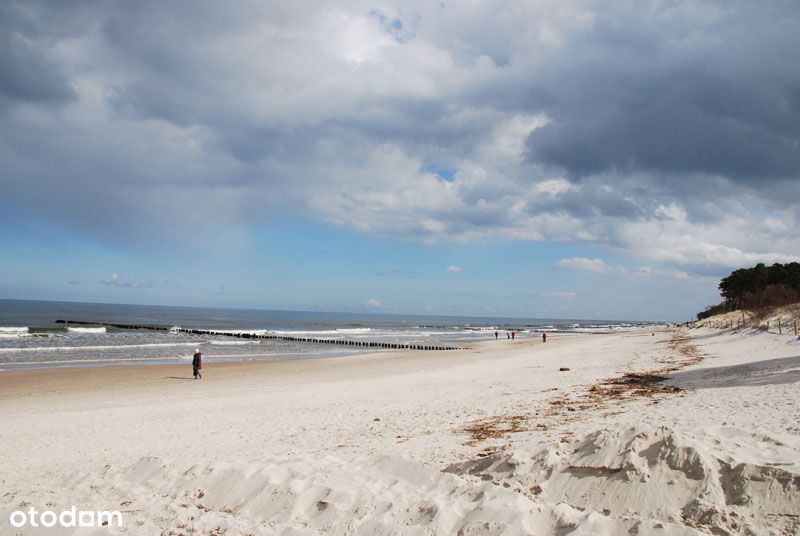 2km morze 12km Kołobrzeg l. brzegowa jeziora, las