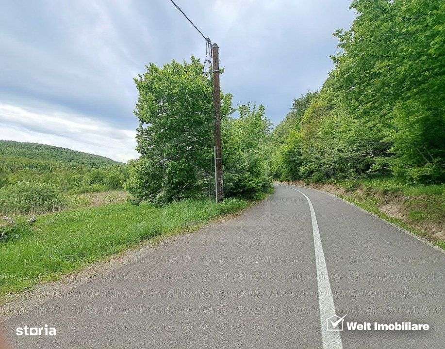 Teren 5000 mp,  la 300 m de Lacul Micesti - Imagine principală: 4/5