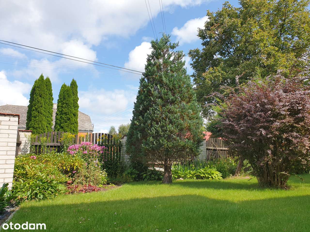 Wygodny dom z dużym terenem w Kampinosie-17