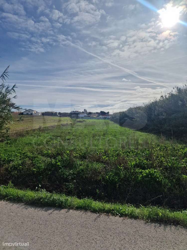 Terreno - Casais Brancos - Grande imagem: 4/4