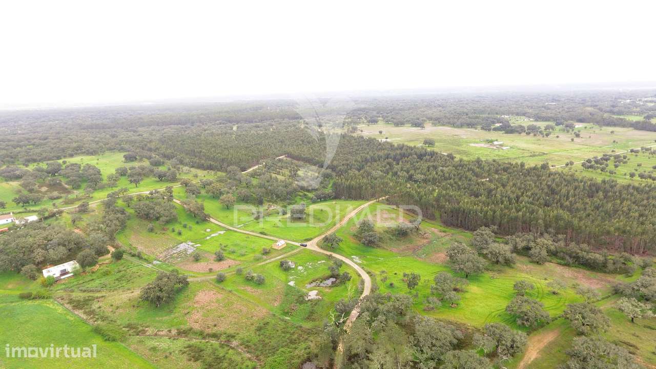 Terreno Rustico com 18000m2 - Grande imagem: 5/9