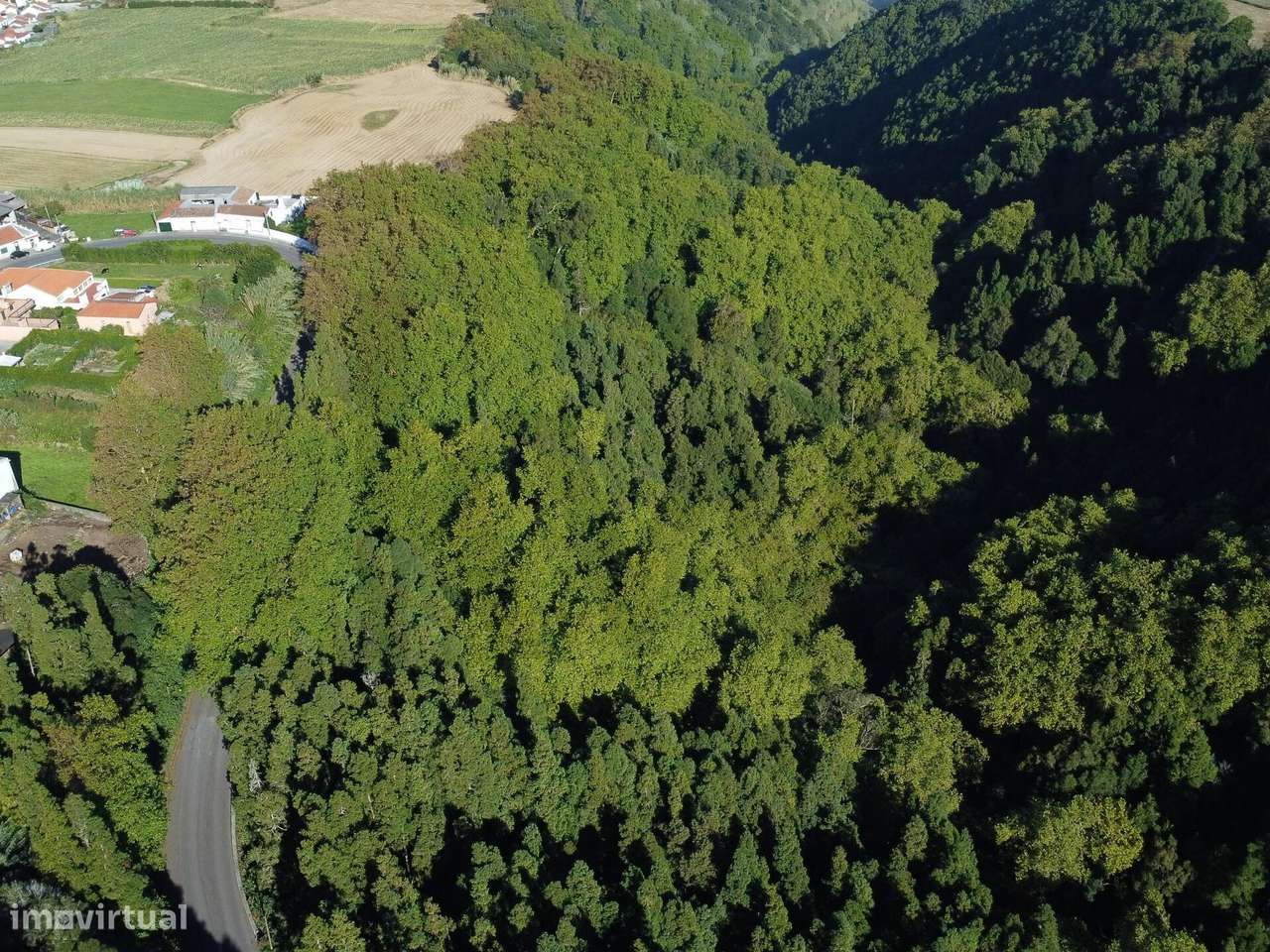 Terreno Rústico em Lomba da Maia-7