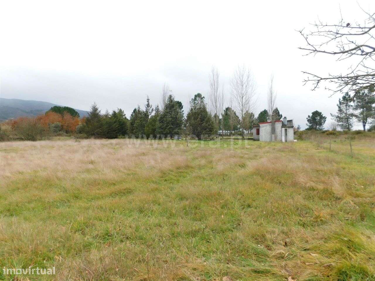 Quintinha / Seia, Seia, São Romão e Lapa dos Dinheiros - Grande imagem: 2/7