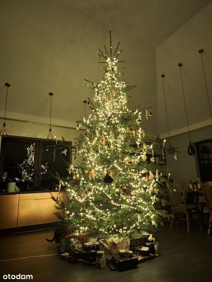 Nowoczesny dom w sercu natury 225 m² komfortu zaledwie 170m od Jeziora-19