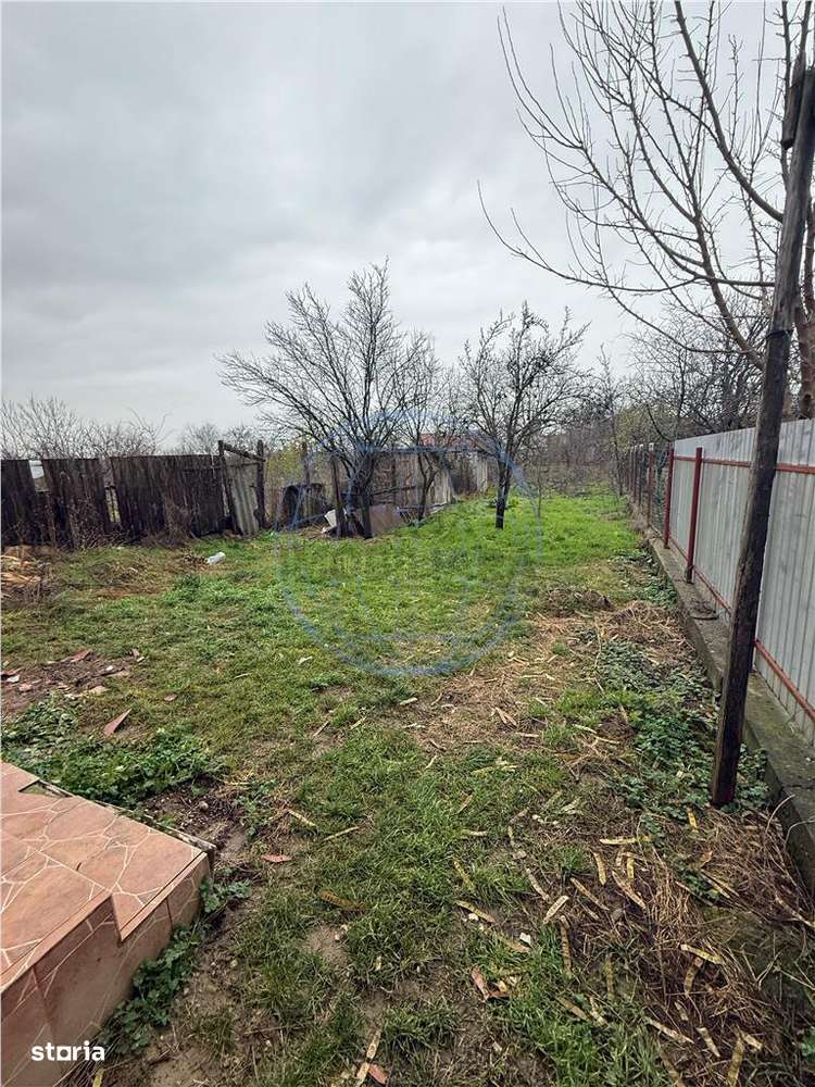 CASA P+M,  CIUSLEA-5